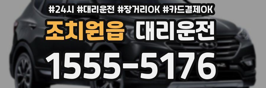 조치원읍 대리운전