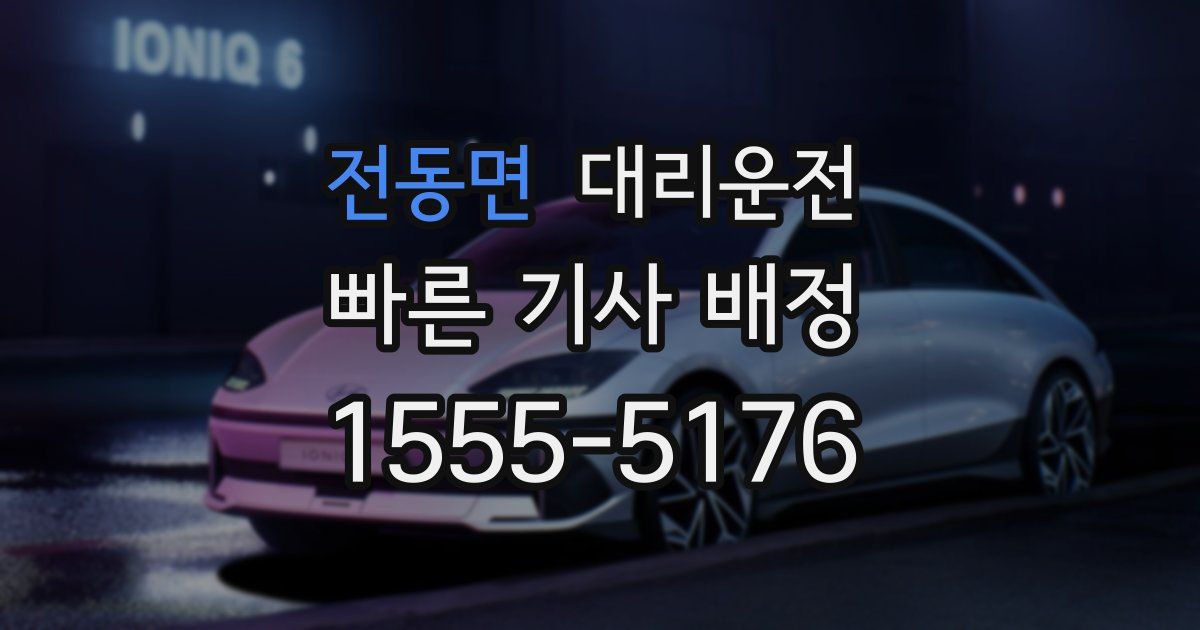 일일대리기사