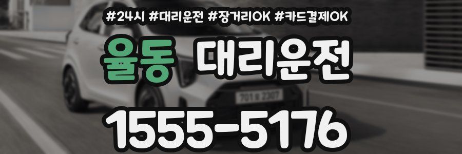 율동 대리운전