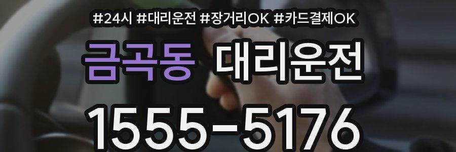 금곡동 대리운전