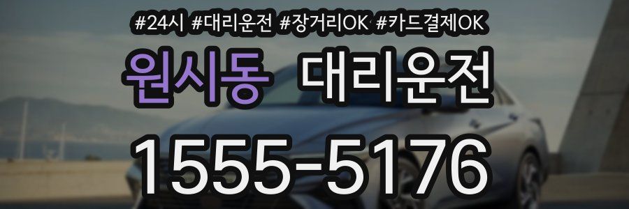 원시동 대리운전