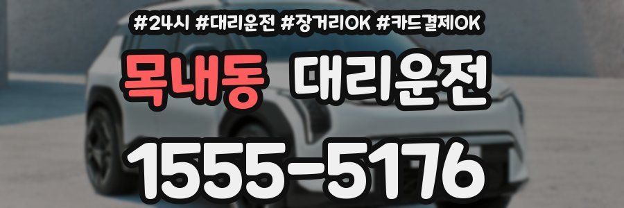 목내동 대리운전