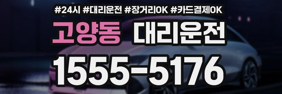 고양동 대리운전