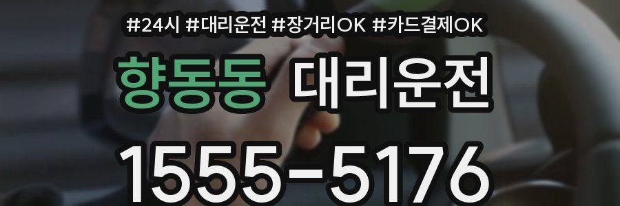 향동동 대리운전
