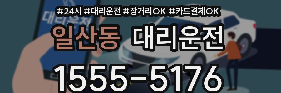 일산동 대리운전