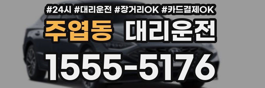 주엽동 대리운전