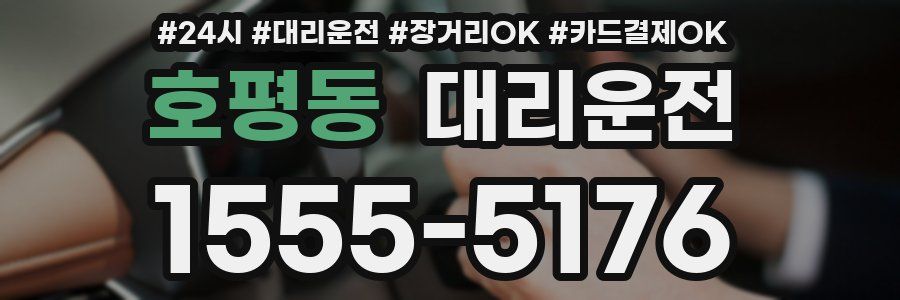 호평동 대리운전