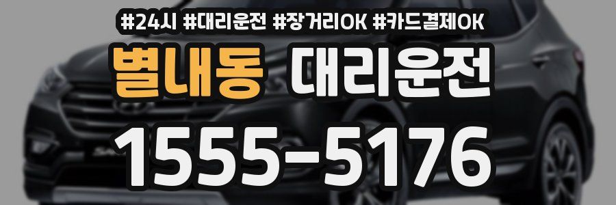 별내동 대리운전