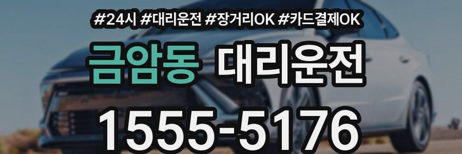 금암동 대리운전