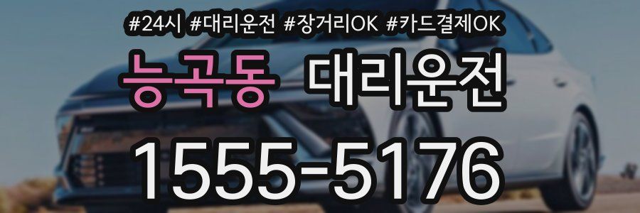 능곡동 대리운전