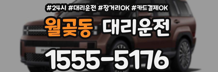 월곶동 대리운전