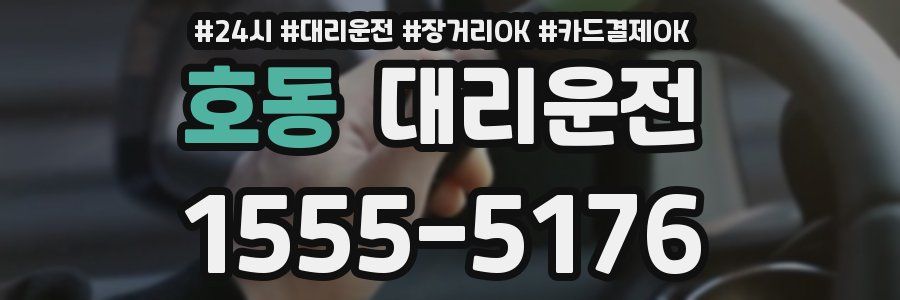 호동 대리운전