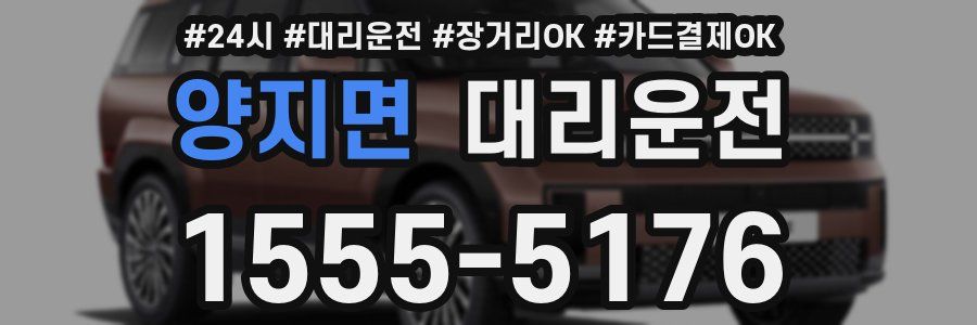 양지면 대리운전