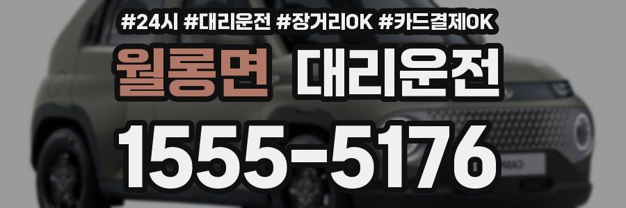 월롱면 대리운전