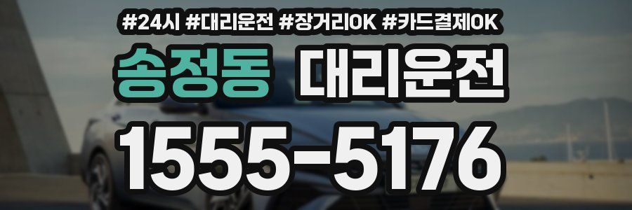 송정동 대리운전