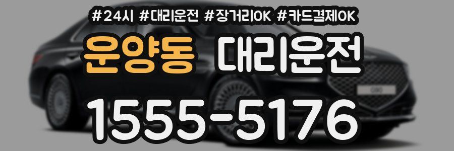 운양동 대리운전