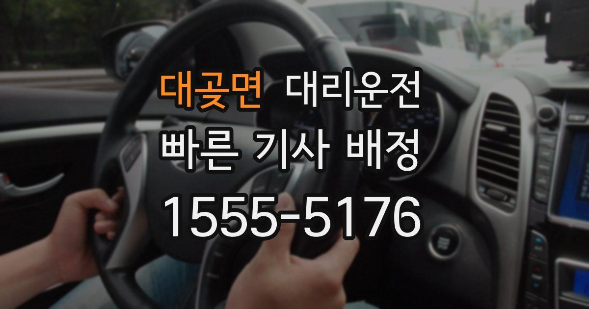 일일대리기사