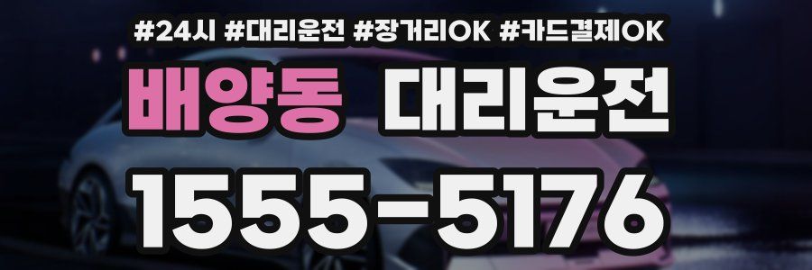 배양동 대리운전