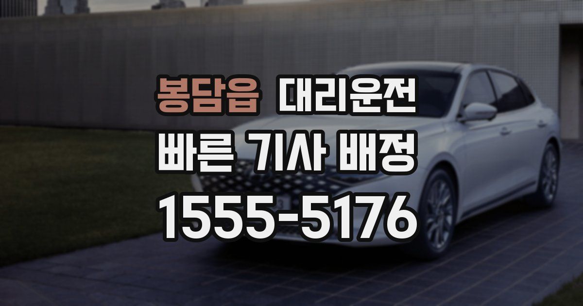일일대리기사