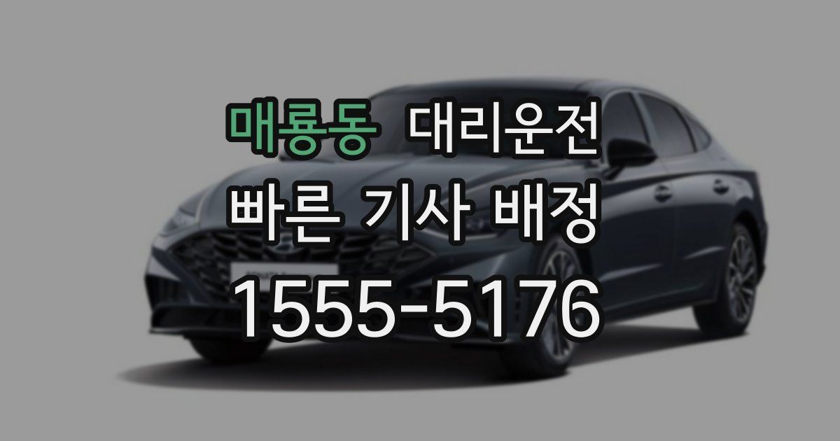 일일대리기사