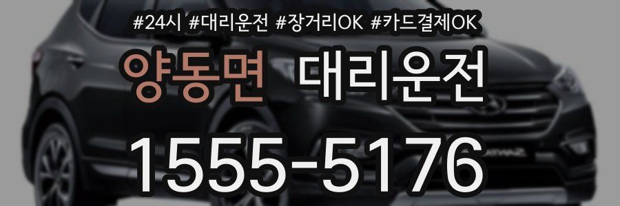 양동면 대리운전