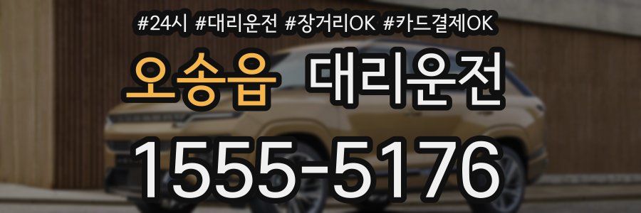 오송읍 대리운전