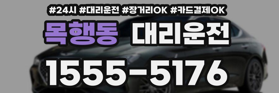 목행동 대리운전