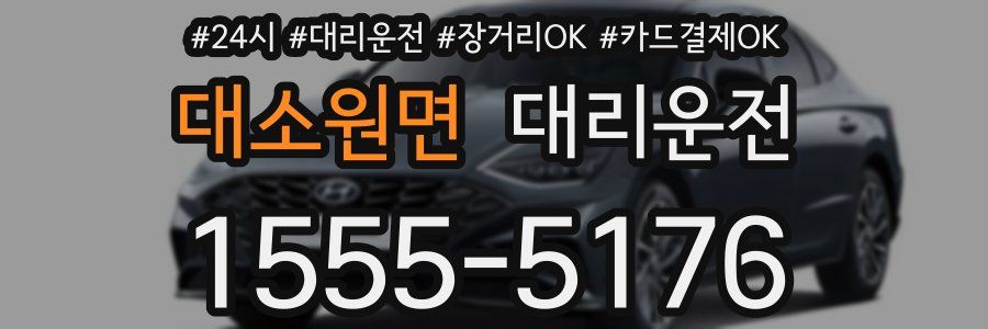 대소원면 대리운전