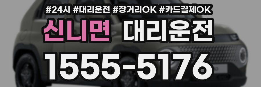 신니면 대리운전