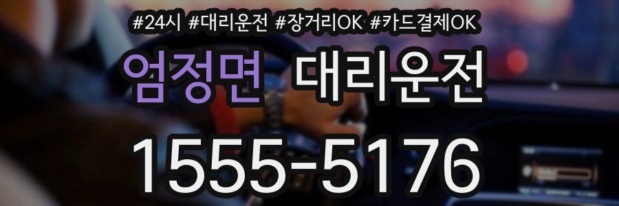 엄정면 대리운전