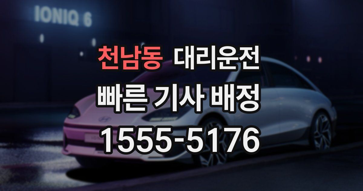 일일대리기사
