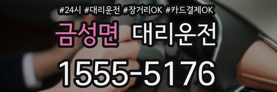 금성면 대리운전