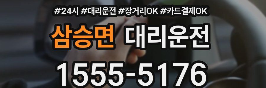 삼승면 대리운전