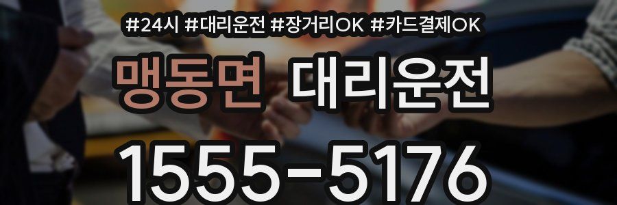 맹동면 대리운전