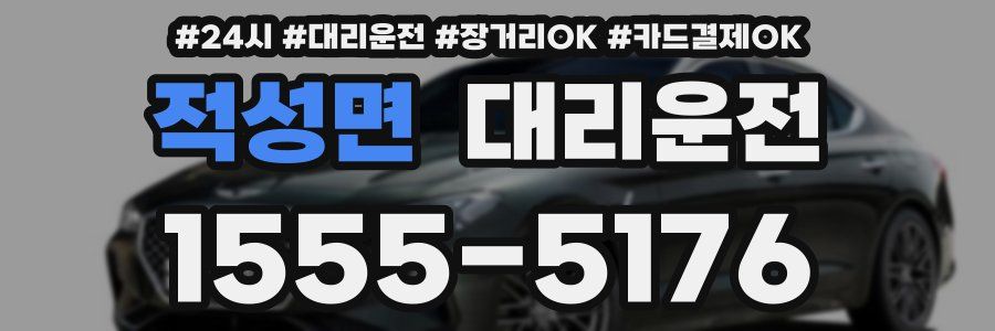 적성면 대리운전