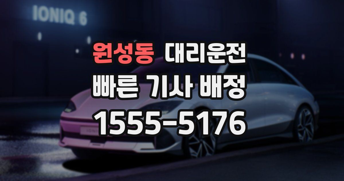 일일대리기사