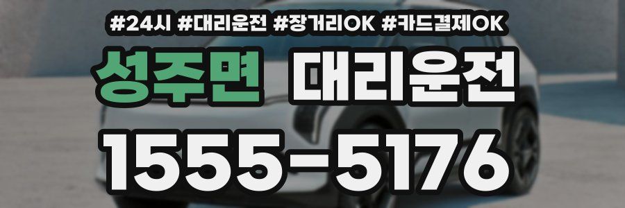 성주면 대리운전