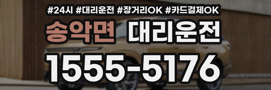 송악면 대리운전