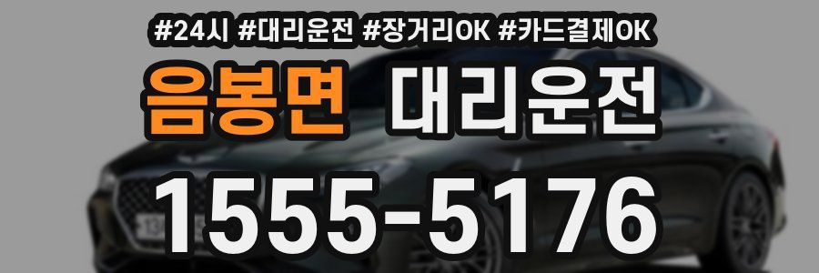 음봉면 대리운전