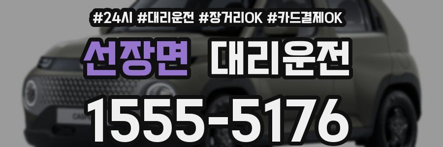 선장면 대리운전