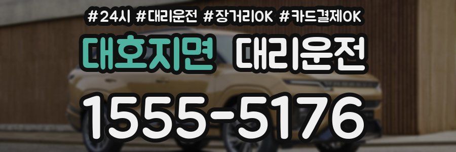 대호지면 대리운전
