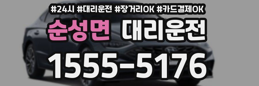 순성면 대리운전