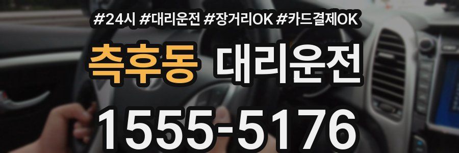 측후동 대리운전