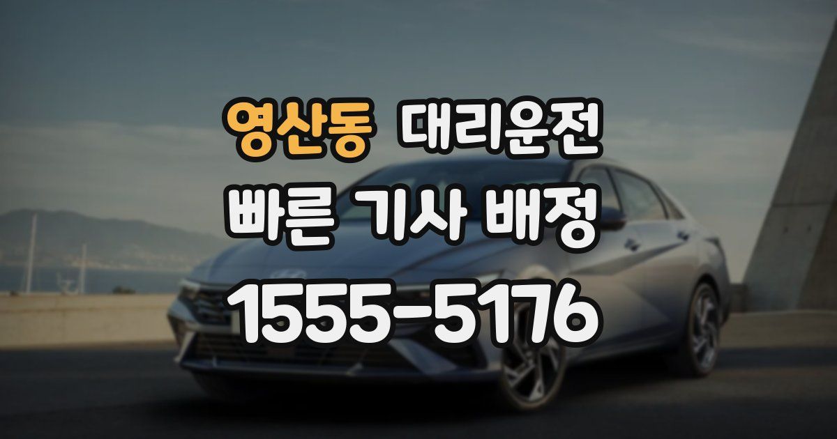 일일대리기사