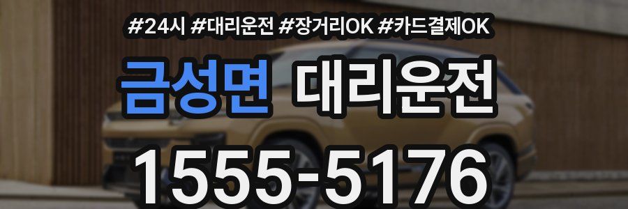 금성면 대리운전