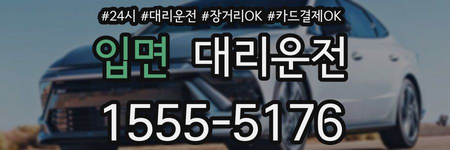 입면 대리운전
