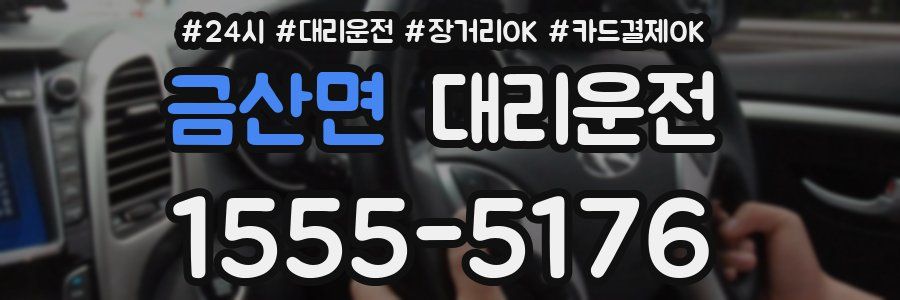 금산면 대리운전