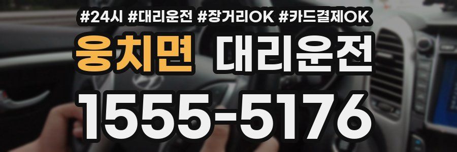 웅치면 대리운전