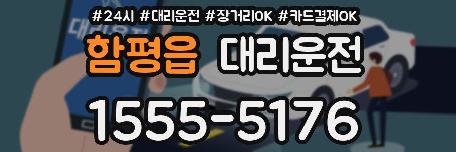 함평읍 대리운전