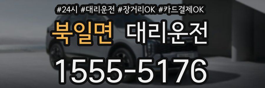 북일면 대리운전